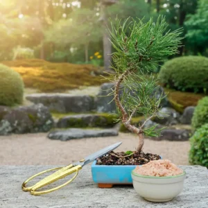 Ready to Play Bonsai Starter Kit