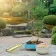 Starter kit bonsai di Pinus mugo con forbici e substrato