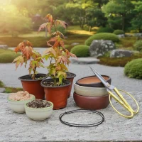 Create Your Own Bonsai Kit with Acer Palmatum saplings, ceramic pots, golden scissors, bonsai wire, and soil on a stone table outdoors.